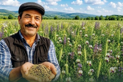 Yem Maliyetlerine Karşı G&uuml;&ccedil;l&uuml; Hamle
