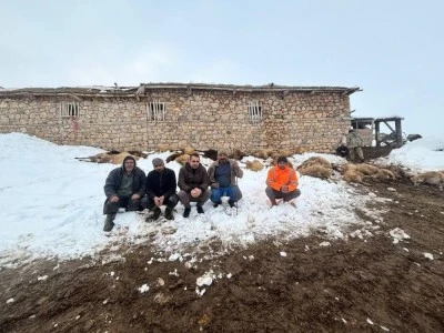 Yemden zehirlenen 80 koyun telef oldu