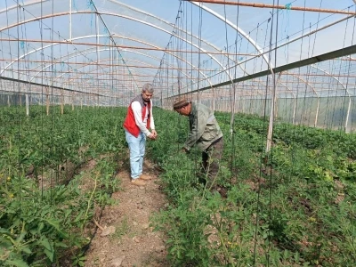 Yemişendere&rsquo;de &ouml;rt&uuml; altı sebze &uuml;reticilerine teknik destek
