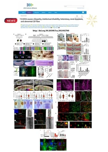 Yeni gen varyantlarının bir&ccedil;ok hastalığa sebep olduğu kanıtlandı