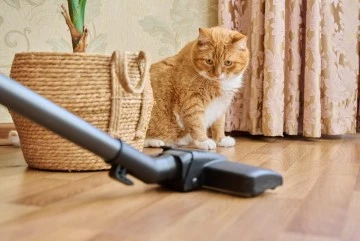 Yenilik&ccedil;i Teknolojisiyle &Ouml;ne &Ccedil;ıkan Dyson V12 Elektrikli S&uuml;p&uuml;rge: &Ouml;zellikleri ve Avantajları