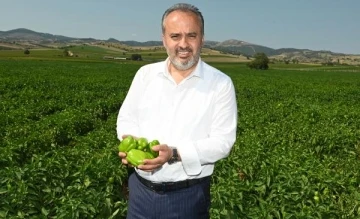 Yenişehir Biberi&rsquo;ne tescil belgesi