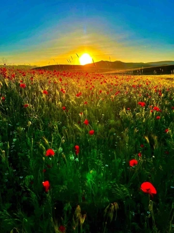 Yeşil ve mavi tonlarını sergileyip cezbeden Patnos Barajı, vatandaşların ilgisini &ccedil;ekiyor
