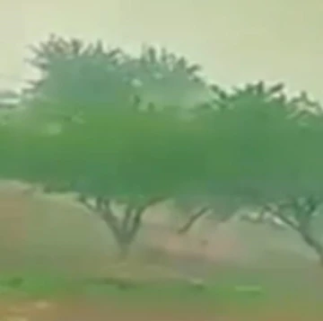 Yıldırım ağacı par&ccedil;aladı, o anlar kameralara yansıdı
