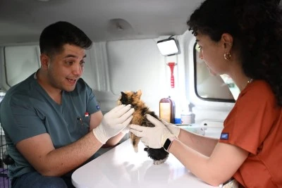 Yıldırım Belediyesi can dostlarımıza sıcak yuva hazırlarken 10 bin sokak hayvanını tedavi etti