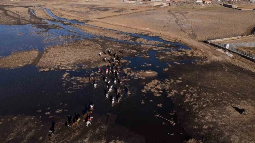 Yılkı atları diyarı H&uuml;rmet&ccedil;i&rsquo;de atlı safari
