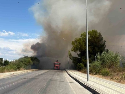 Yol kenarından başlayan yangın otel bah&ccedil;esinde kontrol altına alındı