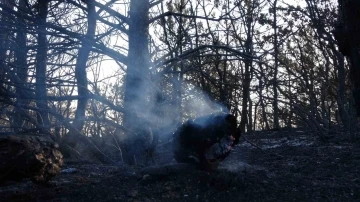 Yozgat&rsquo;taki orman yangınında 2 kişi g&ouml;zaltına alındı
