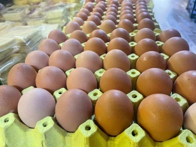 Yumurta kabuğu deyip ge&ccedil;meyin sanayide &ccedil;ok değerli