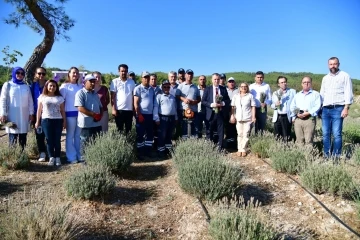 Yunusemre&rsquo;de lavanta hasadı heyecanı
