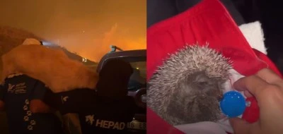 Y&uuml;reklere su serpen anlar...