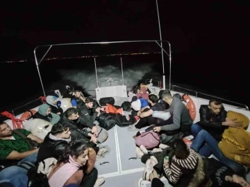 Y&uuml;zerek karşıya ge&ccedil;meye &ccedil;alıştı
