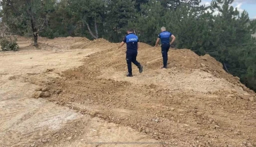 Zabıta doğa katliamına &rsquo;dur&rsquo; dedi
