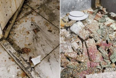Zabıta, mide bulandıran g&ouml;r&uuml;nt&uuml;leri ortaya &ccedil;ıkardı