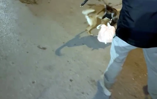 Zehir taciri Eta&rsquo;dan ka&ccedil;amadı
