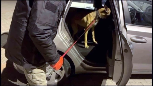 Zehir tacirleri polisten ka&ccedil;amadı
