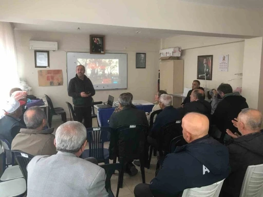 Zeytin ağa&ccedil;ları k&uuml;llerinden doğup yeşeriyor
