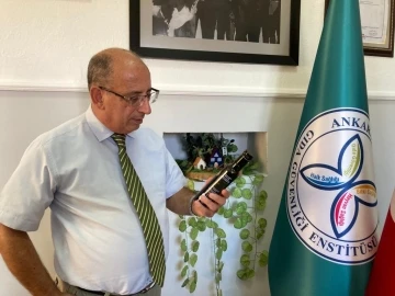 Zeytin ağa&ccedil;larını iklim değişikliği vurdu
