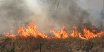 Zeytinburnu&rsquo;nda otluk alandan alevler y&uuml;kseldi
