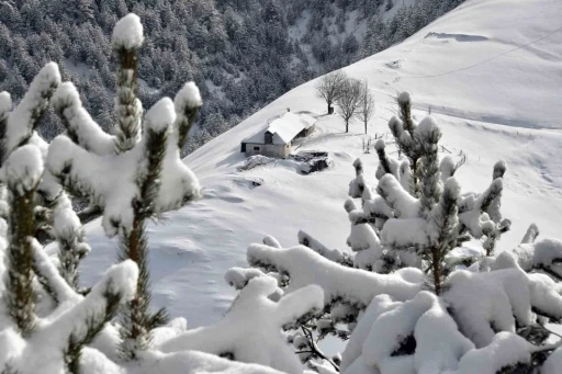 Zigana Dağında kar yağışı sonrası kartpostallık g&ouml;r&uuml;nt&uuml;ler
