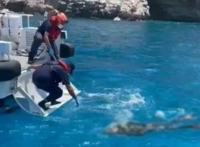 Zıpkınla balık avlamak i&ccedil;in denize dalan şahsın cesedi bulundu