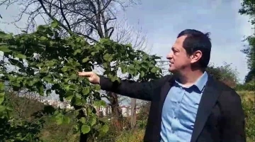 Ziraat M&uuml;hendisi Haldun Gedikali:
