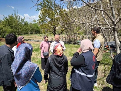 Zirai dona karşı sigorta yaptıran &ccedil;ift&ccedil;ilerin zararları inceleniyor
