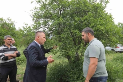 Zirai donun yaraları B&uuml;y&uuml;kşehir&rsquo;in desteğiyle sarıldı
