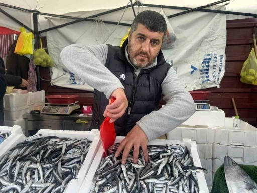 Zonguldak&rsquo;ta fiyatı d&uuml;şen hamsiye vatandaşlardan yoğun ilgi
