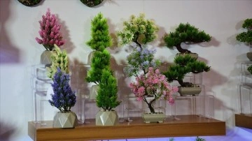 Z&uuml;ccaciye sekt&ouml;r&uuml;, ihracatı artırmak i&ccedil;in ABD, Japonya ve Kanada'ya y&ouml;neldi