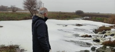 Bursa'da &ccedil;evre katliamı