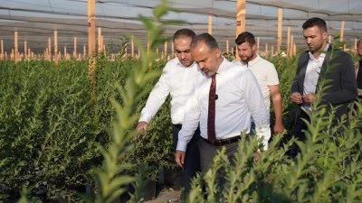 Bursa&rsquo;nın y&uuml;kselen değeri; tarım