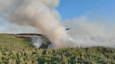 Kayapa, Maksempınar ve G&ouml;ng&ouml;ren arasındaki ormanlık alanda yangın devam ediyor 